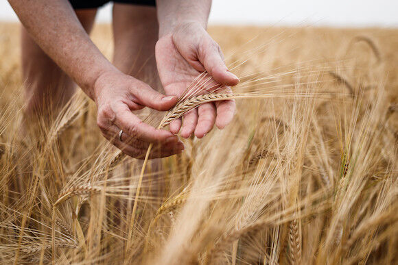 ...we will reap a harvest if we do not give up.